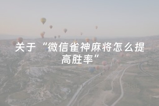实测分享“微乐陕西麻将挂件神器（专用辅牌神器免安装）