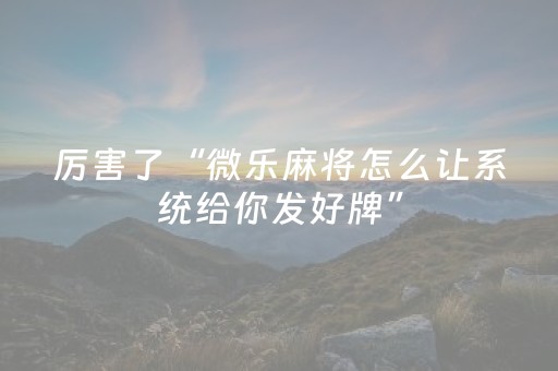 终于发现了“微乐麻将插件程序教程（助赢神器通用版）