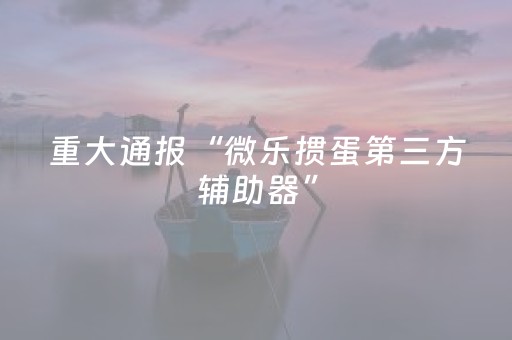玩家实测“麻将机免安装程序是真的吗（专用辅牌神器免安装）