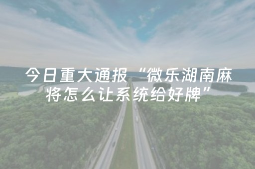 终于发现了“手机金花铺牌器购买（专用辅牌神器免安装）