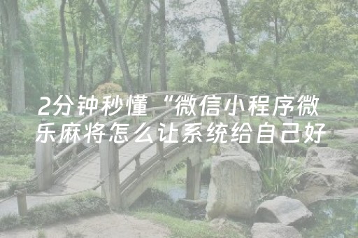 玩家必看攻略“微乐云南麻将的挂在哪找”（详细透视教程）-哔哩哔哩