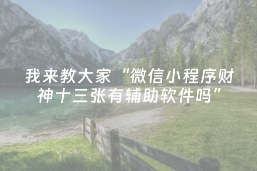 玩家实测“微乐湖南麻将助攻神器（专用辅牌神器免安装）