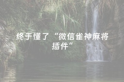 实测教程“微信跑得快辅助器是真的吗（助赢神器通用版）