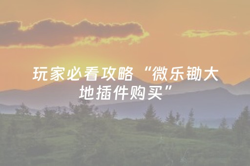 终于发现了“闲逸软件可以买挂嘛（专用辅牌神器免安装）