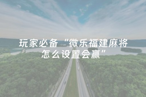 必看教程“牵手跑胡子外挂怎么装（助赢神器通用版）