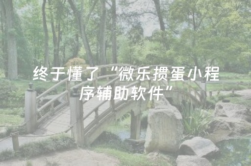 终于懂了“微乐掼蛋小程序辅助软件”（有没有猫腻)