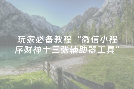 玩家必备教程“微信小程序财神十三张辅助器工具”（开挂辅助脚本)