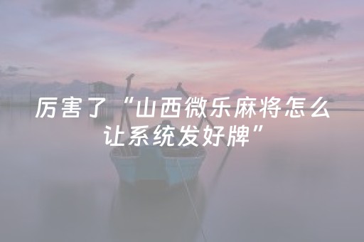 教程辅助“微乐陕西三代亲友房必赢神器（专用辅牌神器免安装）