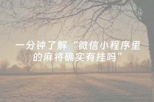 玩家实测“如何安装微信红包埋雷挂”（详细透视教程）-哔哩哔哩