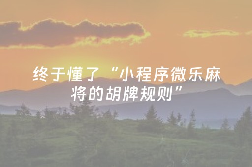 终于发现“网页版扑克辅助（专用辅牌神器免安装）