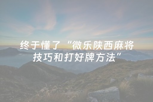 终于发现了“闲逸软件可以买挂嘛（助赢神器通用版）