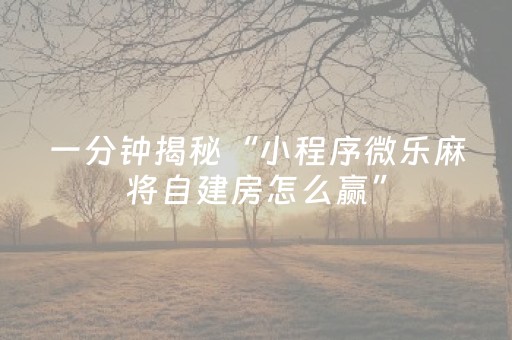 玩家必看攻略“多乐跑得快第三方辅助器（助赢神器通用版）