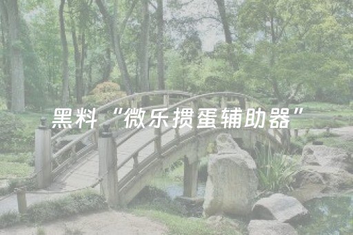 玩家必看攻略“手机麻将控牌软件（助赢神器通用版）