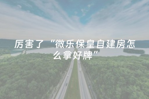 分享辅助“微信微乐麻将挂咋开（专用辅牌神器免安装）