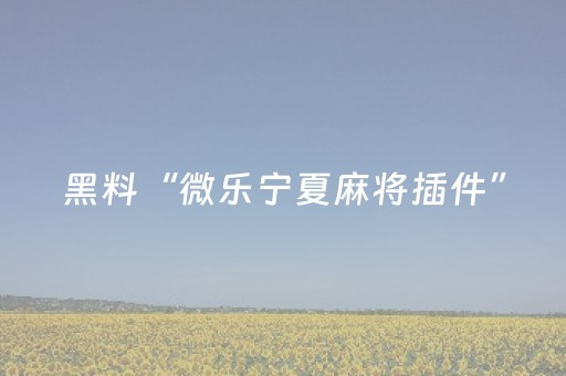 玩家实测“胡乐麻将助赢神器（助赢神器通用版）