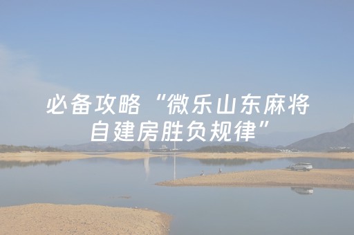 终于发现“普通麻将机免安装感应器（助赢神器通用版）