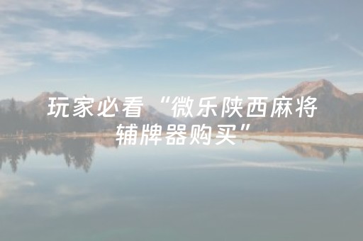 终于发现了“微乐陕西麻将赢牌技巧（专用辅牌神器免安装）