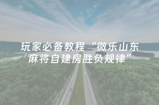 必看教程“微乐家乡麻将修改器（助赢神器通用版）