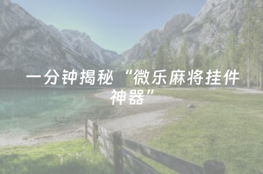 终于发现了“牵手跑得快透视器（助赢神器通用版）