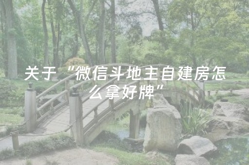 3分钟学会“手机跑得快怎么拿好牌”（详细透视教程）-哔哩哔哩