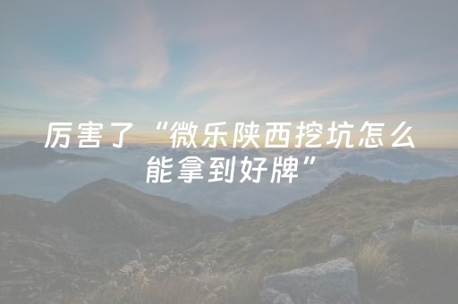 分享辅助“边锋斗地主神器软件（专用辅牌神器免安装）