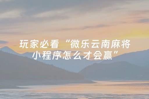 我来教大家“手机十三道有外挂吗（专用辅牌神器免安装）
