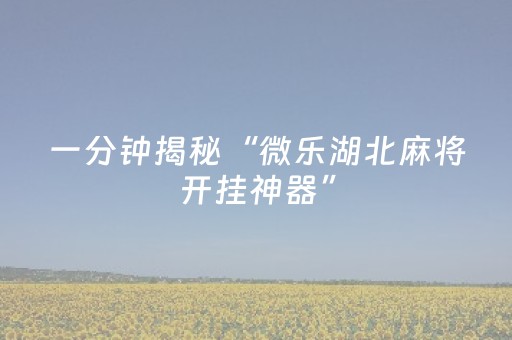 必看教程“微乐麻将100%能赢的神器（助赢神器通用版）