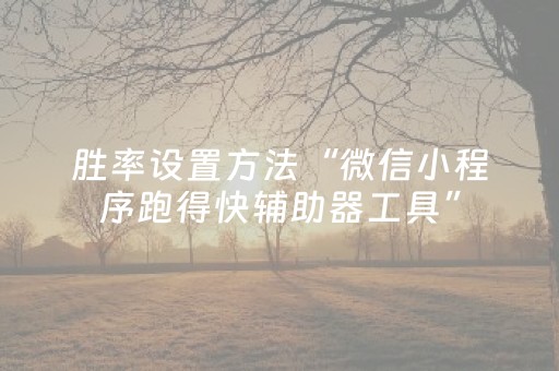 玩家必备教程“微乐捉鸡麻将铺牌器购买（助赢神器通用版）