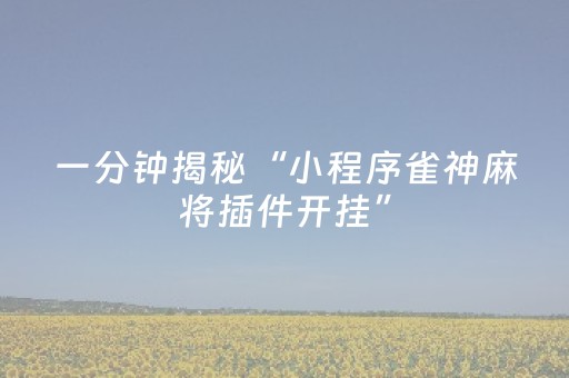 我来教大家“怎么安装微信扫雷挂了”（详细透视教程）-哔哩哔哩