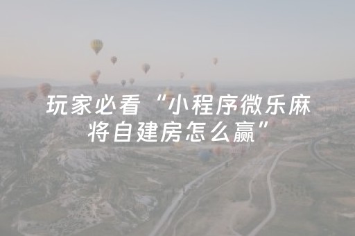 实测结果“微乐麻将必备神器（专用辅牌神器免安装）
