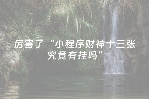 必看教程“手机十三水万能辅助器（助赢神器通用版）