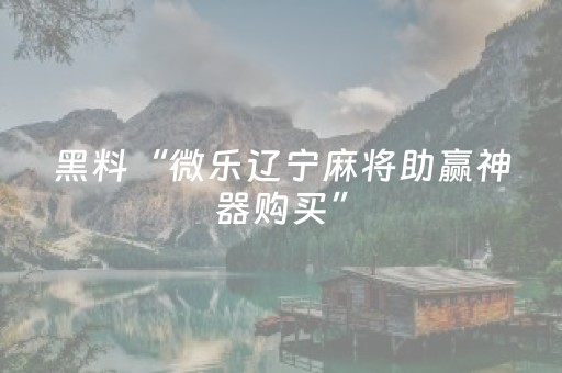 教程辅助“微友麻将软挂神器（助赢神器通用版）