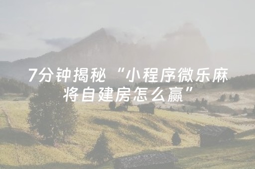 实测结果“微乐麻将专用神器（助赢神器通用版）