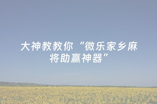 实测分析“微乐吉林麻将插件”（详细辅助教程）-哔哩哔哩