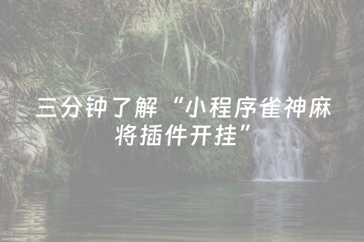教程辅助“微乐江西麻将软挂神器（助赢神器通用版）