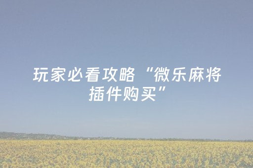 2分钟秒懂！“微乐内蒙麻将专用神器”（详细开挂教程）-哔哩哔哩