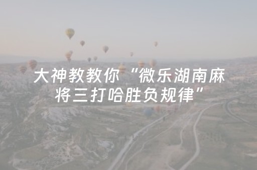 教程辅助“麻友圈2辅助器免费下载”（详细透视教程）-哔哩哔哩