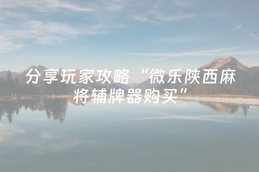 我来教大家“手机红中麻将专用器（助赢神器通用版）