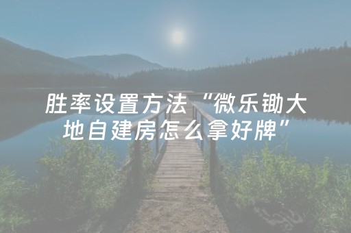 实测辅助“微信微乐麻将挂神器（助赢神器通用版）