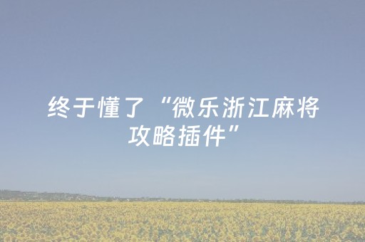 今日盘点“微信跑得快辅助器是真的吗”（详细透视教程）-哔哩哔哩