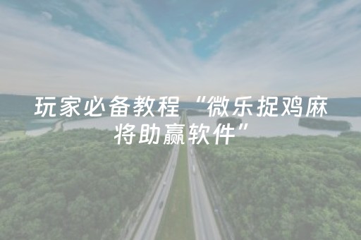 玩家实测“程序麻将app下载安装（专用辅牌神器免安装）