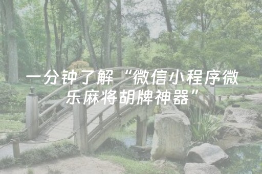 今日实测“微信小程序麻将怎么设置才能赢”（详细辅助教程）-哔哩哔哩