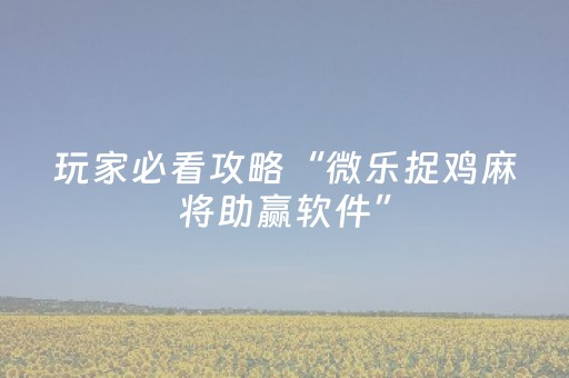 玩家必看教程！“微乐吉林麻将有挂吗”（详细辅助教程）-哔哩哔哩