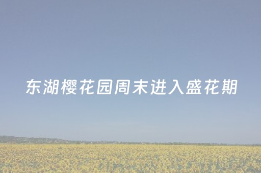 我来教大家“手机麻将挂件（专用辅牌神器免安装）