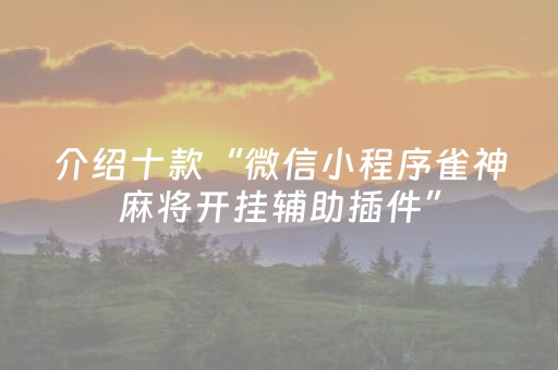 必看教程“全自动麻将机胡牌神器（专用辅牌神器免安装）