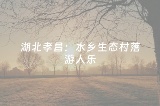 必看教程“麻友圈2辅助器怎么安装（助赢神器通用版）