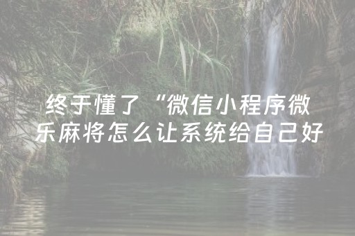 分享辅助“麻将芯片解码器（专用辅牌神器免安装）