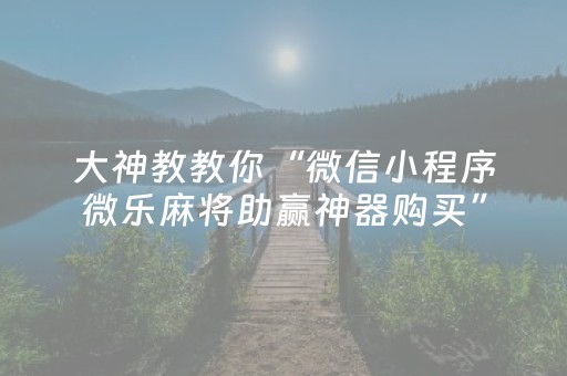 终于发现“微乐手机麻将铺牌器怎么下载（助赢神器通用版）