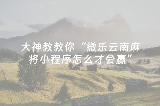 玩家必备教程“湖南跑得快有外挂吗（助赢神器通用版）