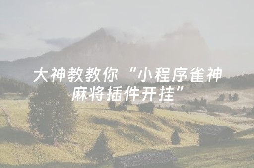 终于发现了“决胜麻将内蒙一口香挂（专用辅牌神器免安装）